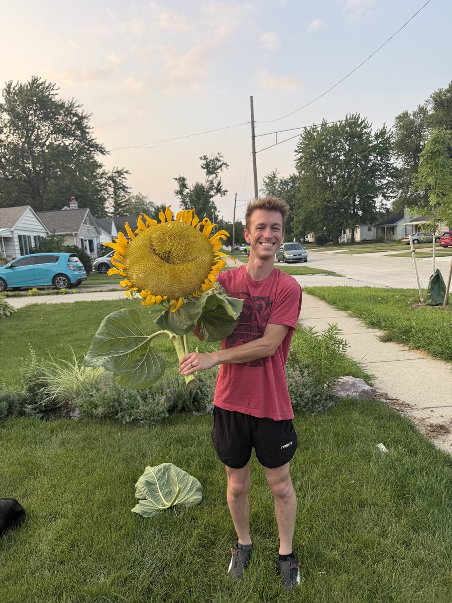 Sunflower photo from 2025-08-14